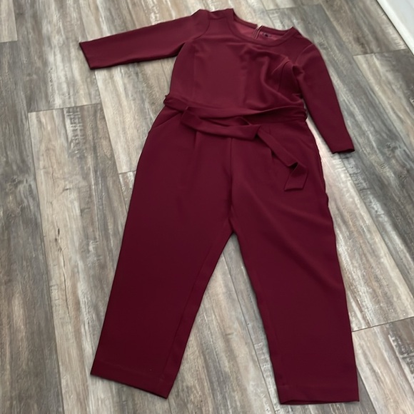 Madewell Sloan Cranberry Jumpsuit size 10 - Picture 4 of 5